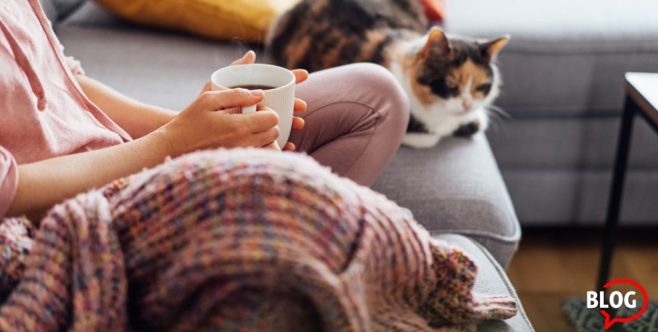 TOP VASTGOED BLOGS 2% registratie en winter - met copy (2)